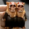 Twins Gaki Marva Tamaño Pequeño